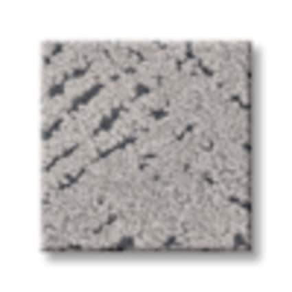 Shaw Hollis Hills Granite Pattern Carpet with Pet Perfect-Sample